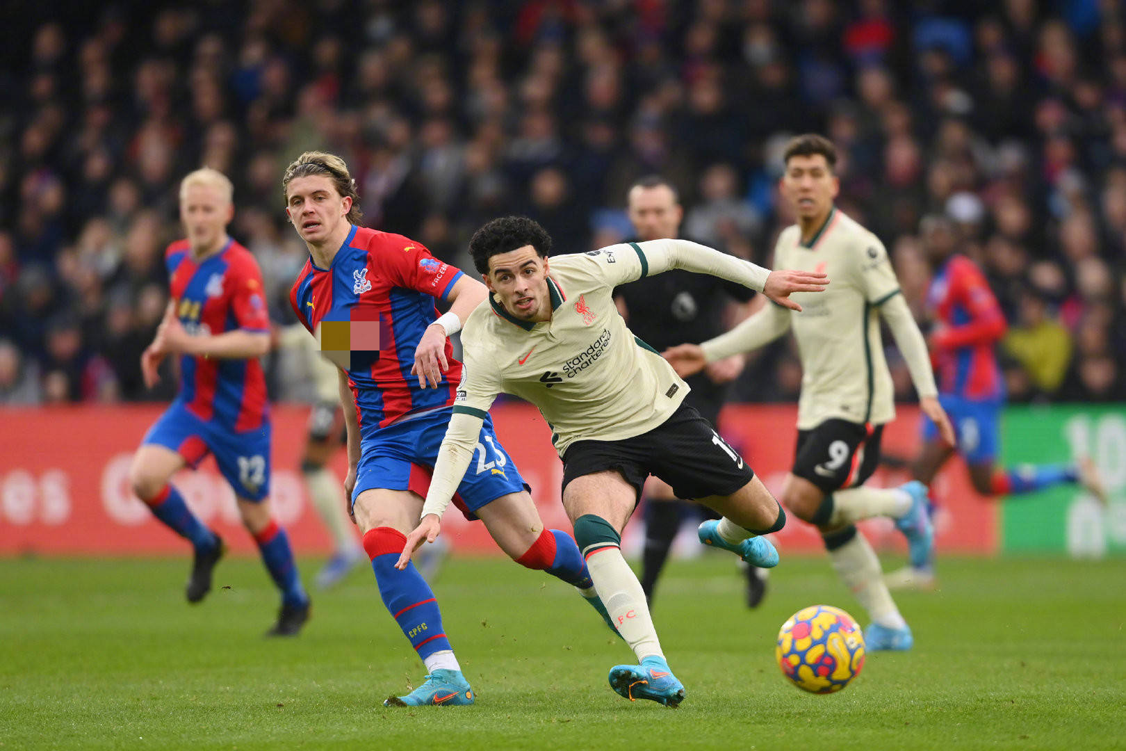 们的注意力 们的注意力